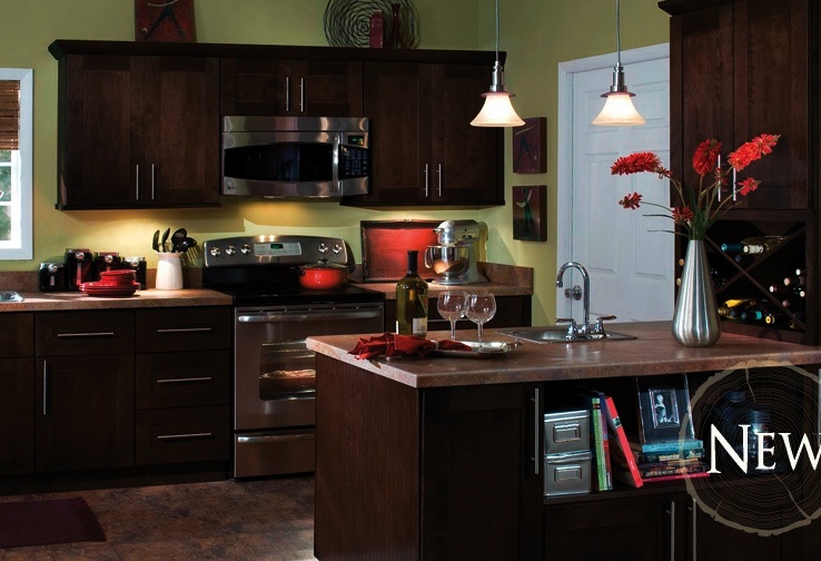 RTA York Chocolate Kitchen Cabinets, full overlay, recessed center panel, dovetail drawers, full ext soft close drawer glides.